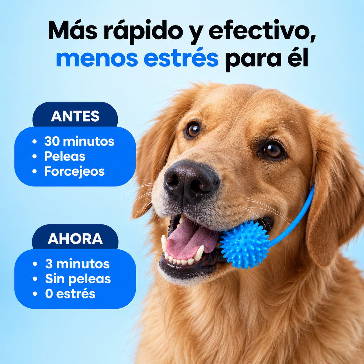 PawSmile - Mordedor Dental 2 en 1