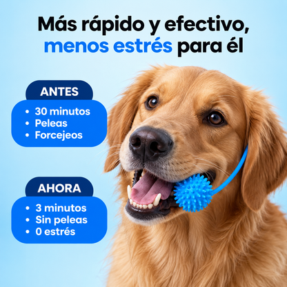 PawSmile - Mordedor Dental 2 en 1