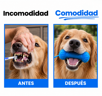 PawSmile - Mordedor Dental 2 en 1